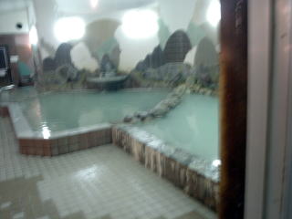 �o�ʉ��� ����������̓��y�����s���z