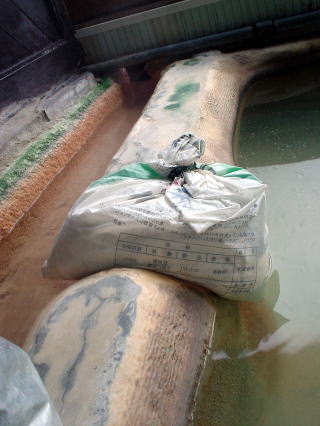 ���̐쉷�� ���̏o���y�����s���z