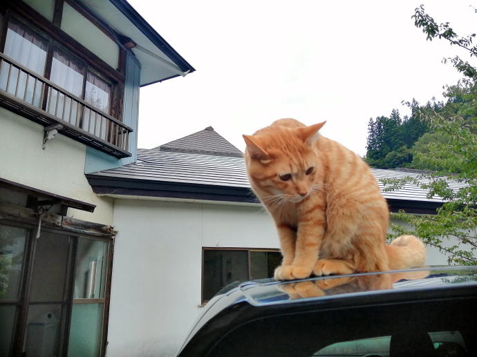 会津西山温泉滝の湯【温泉奉行所】