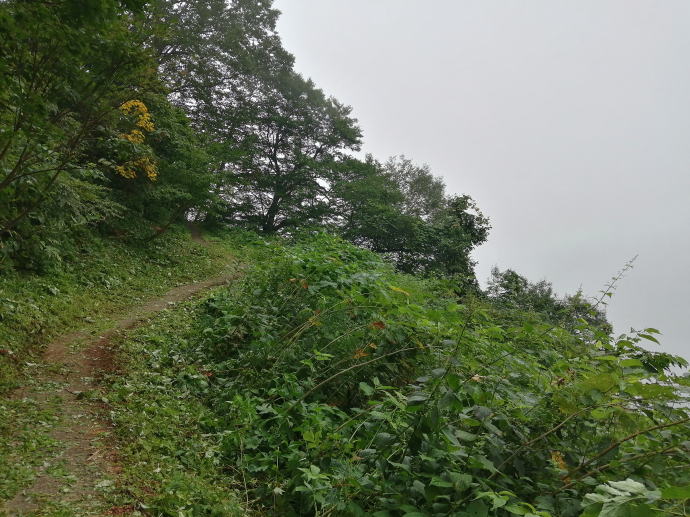 赤倉温泉源泉　管理小屋裏野天風呂【温泉奉行所】