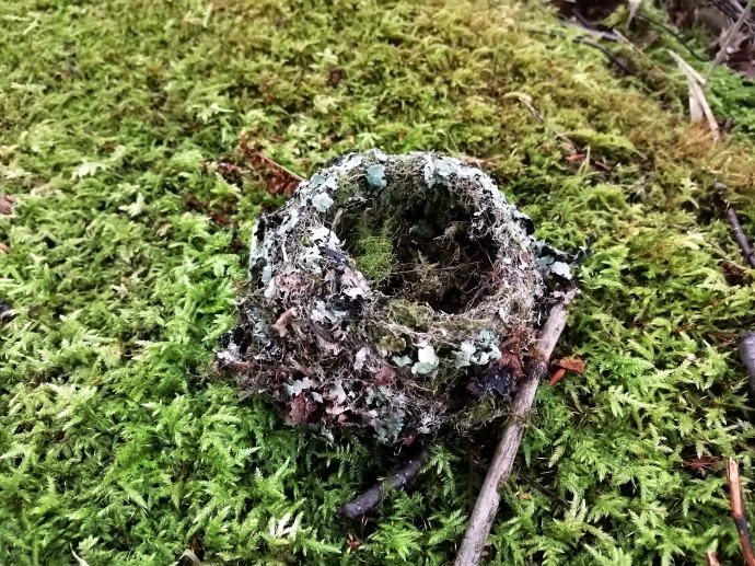 赤倉温泉源泉　管理小屋裏野天風呂【温泉奉行所】