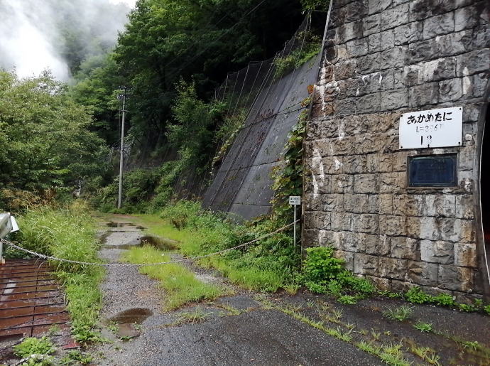 �ԓ{�J����@�쓒�y�����s���z