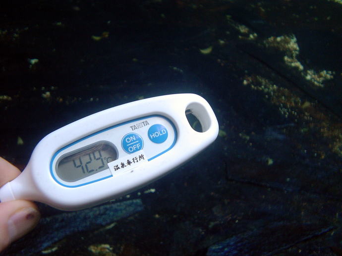 熱川温泉　たかみホテル【温泉奉行所】