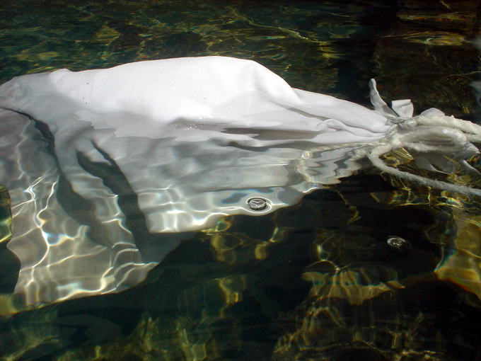 �W�H��{����@�p���V�F����̓��y�����s���z