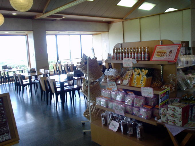 �W�H��{����@�p���V�F����̓��y�����s���z