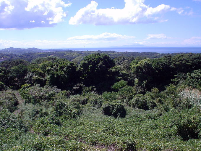 �W�H��{����@�p���V�F����̓��y�����s���z