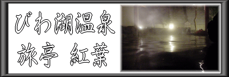 �т�Ή���@�����g�t�y�����s���z