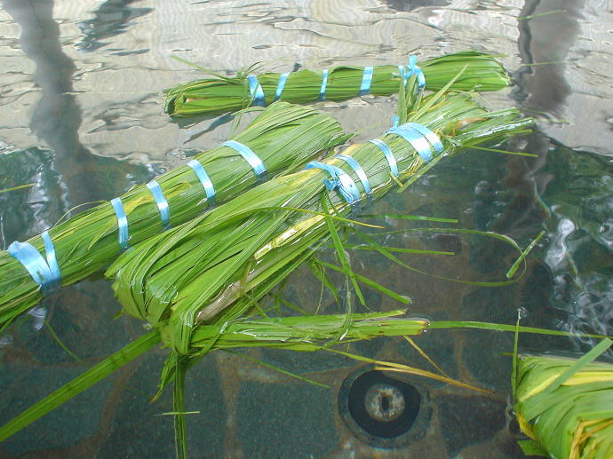 �z�O��������@�א��̓m�y�����s���z