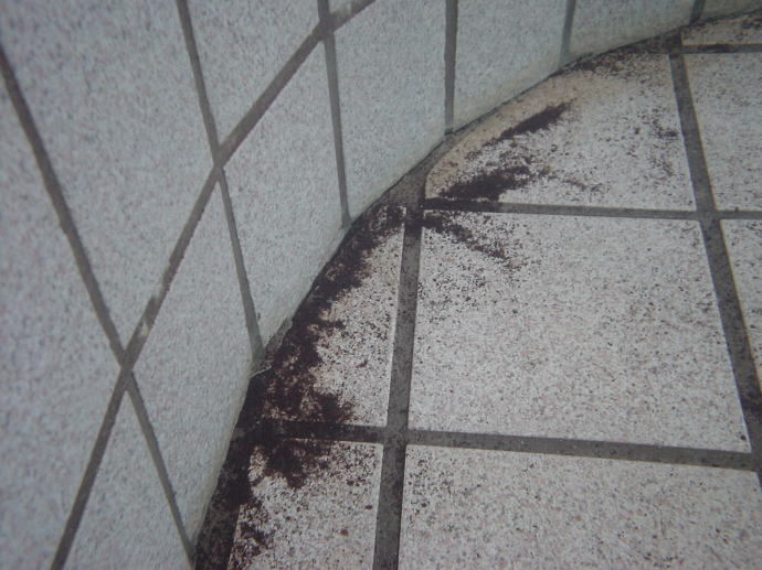 �z�O����@���̓��y�����s���z