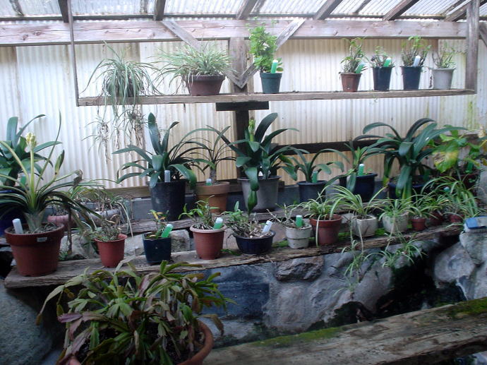 ���Ή���@���Ίفy�����s���z