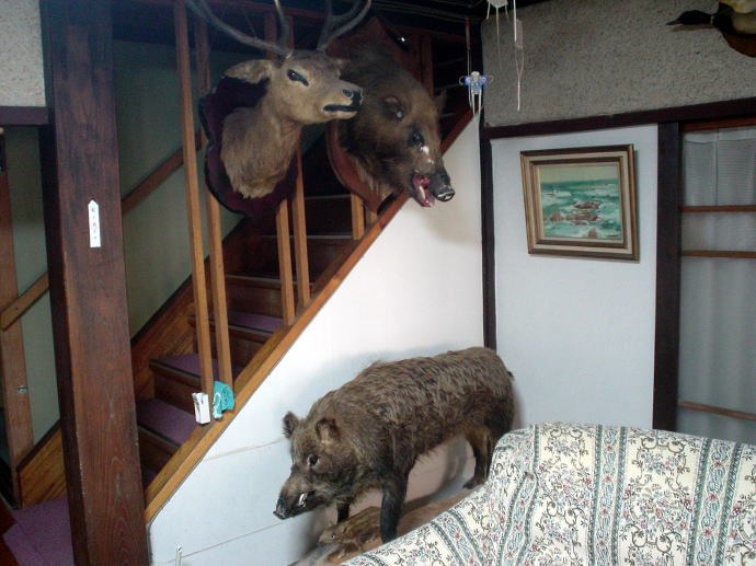 ���Ή���@���Ίفy�����s���z