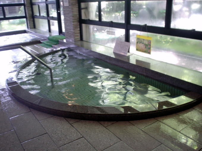 �Ԃ͂�����@���܂�܁y�����s���z