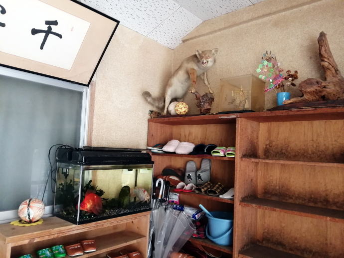 ���o������@�o��a���y�����s���z