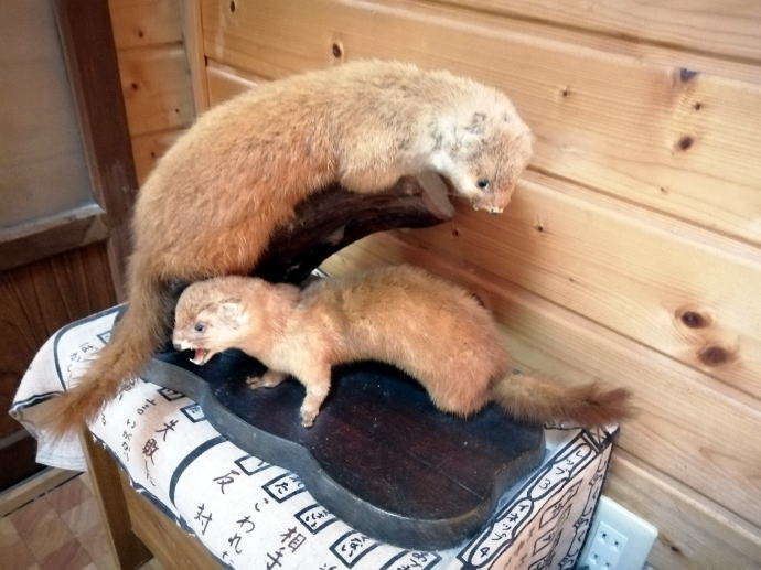 ���o������@�o��a���y�����s���z