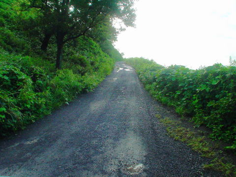 �啪���@�w�r�񓒁y�����s���z