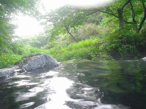 �啪���@�w�r�񓒁y�����s���z