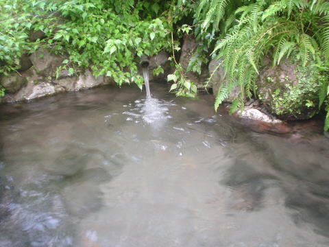 �啪���@�w�r�񓒁y�����s���z