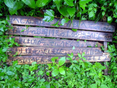 �啪���@�w�r�񓒁y�����s���z