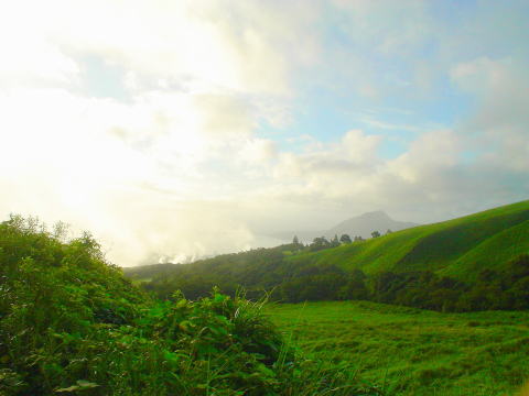 �啪���@�w�r�񓒁y�����s���z