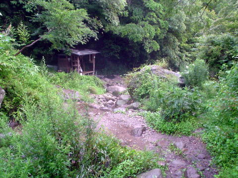 �啪���@�w�r�񓒁y�����s���z