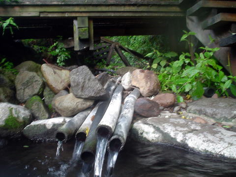 �啪���@�w�r�񓒁y�����s���z