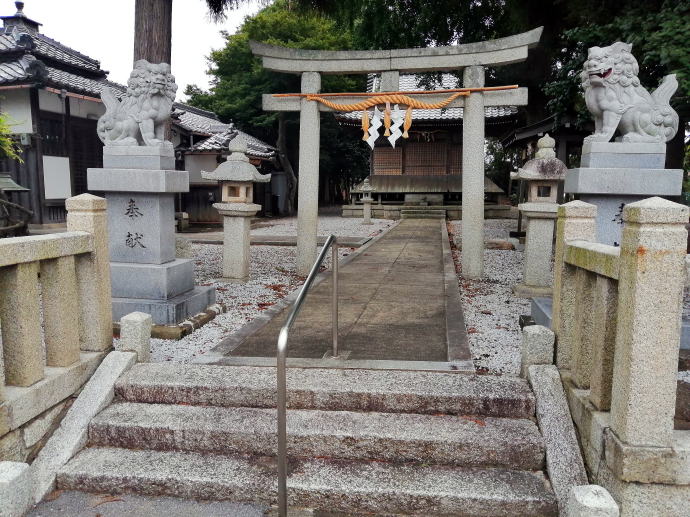 �����p����(���́j�y�����s���z