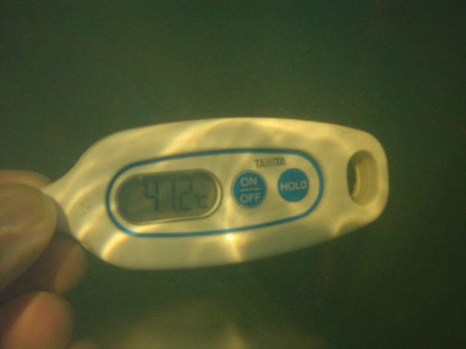 ��Ǐ�������@�z���f�[�A�t�^�k�[���y�����s���z