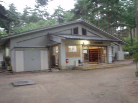 �䍂����@���Ⴍ�Ȃ����y�����s���z