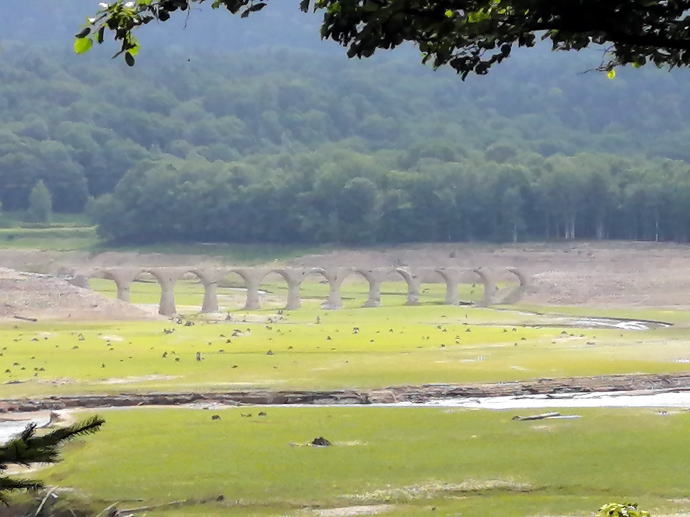 �y������@���̒J�y�����s���z