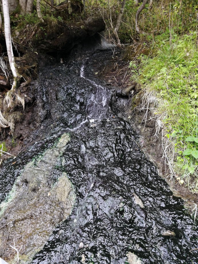 �y������@���̒J�y�����s���z