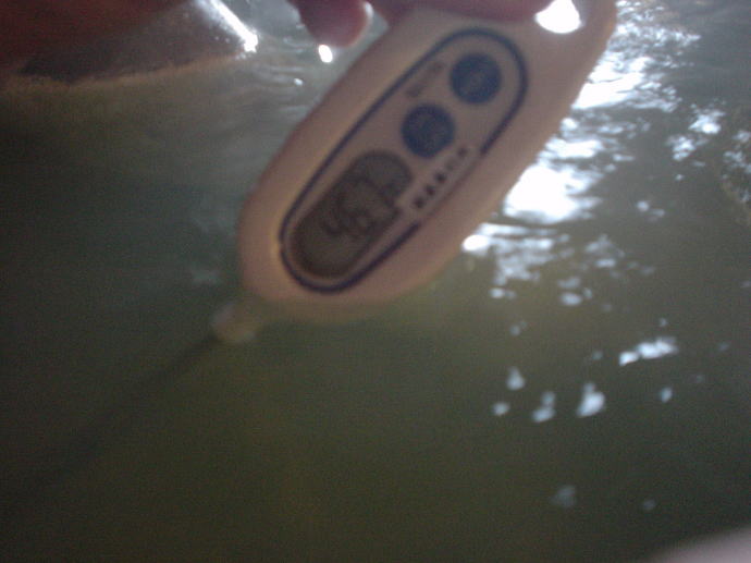 ホテル浦島温泉　ホテル浦島【温泉奉行所】