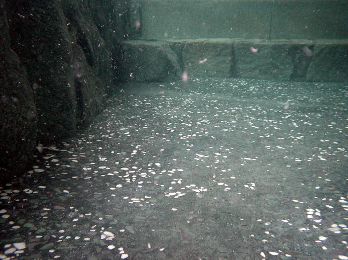 ホテル浦島温泉　ホテル浦島【温泉奉行所】