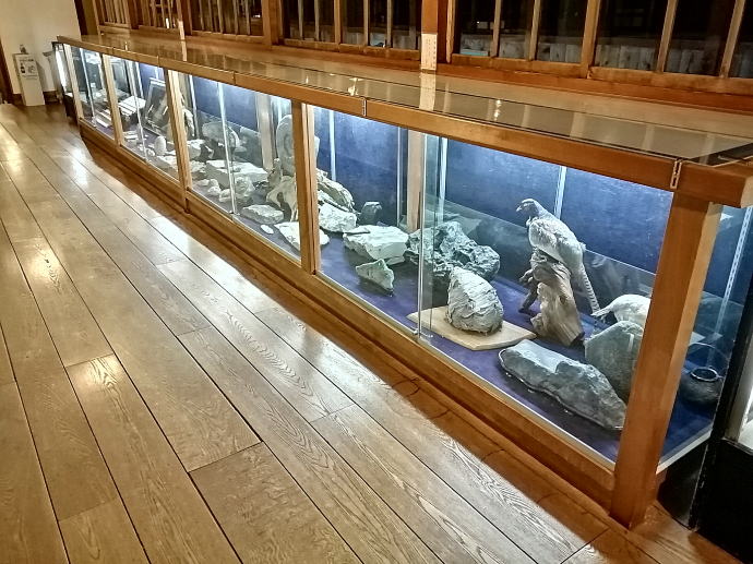 �@�t���򒷎��فy�����s���z