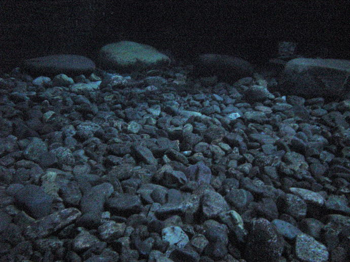 �@�t���򒷎��فy�����s���z