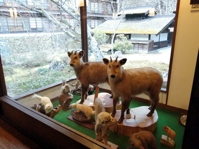 �@�t���򒷎��فy�����s���z