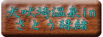 犬吠埼温泉 さとう珠緒