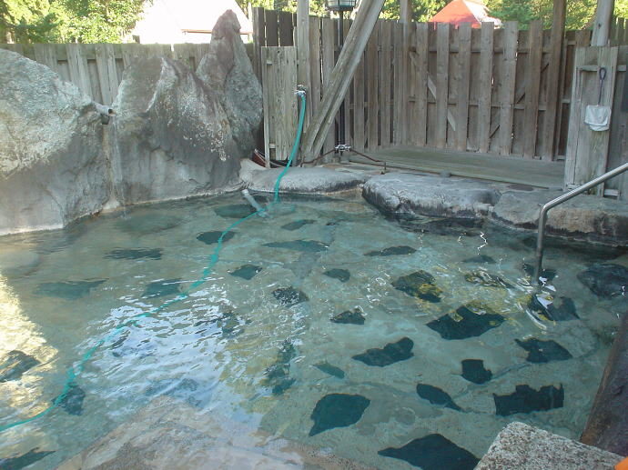 五十沢温泉　ゆもとかん【温泉奉行所】