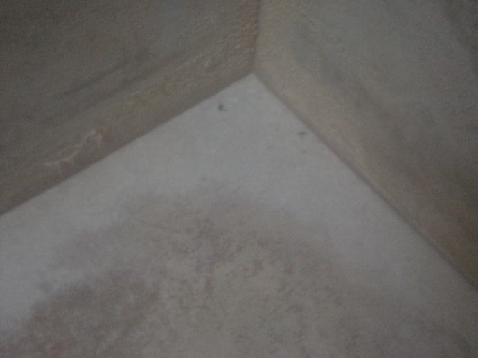 �r�c���W�E���z��@����t�y�����s���z