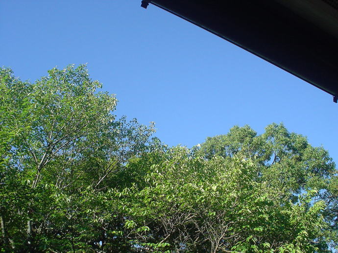 �r�c���W�E���z��@����t�y�����s���z