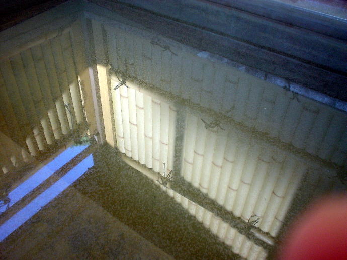 �r�c���W�E���z��@����t�y�����s���z