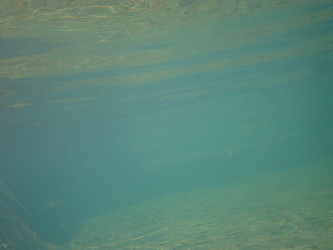 ����365����@�₷�炬�y�����s���z