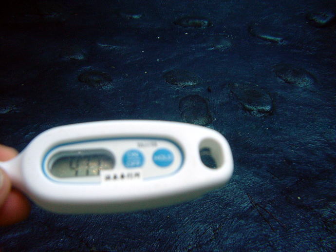 伊東温泉　陽気館【温泉奉行所】