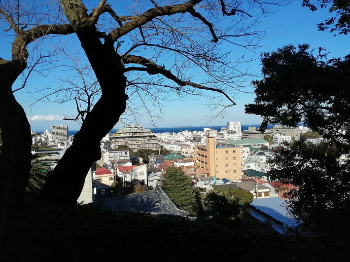 伊東温泉　陽気館【温泉奉行所】