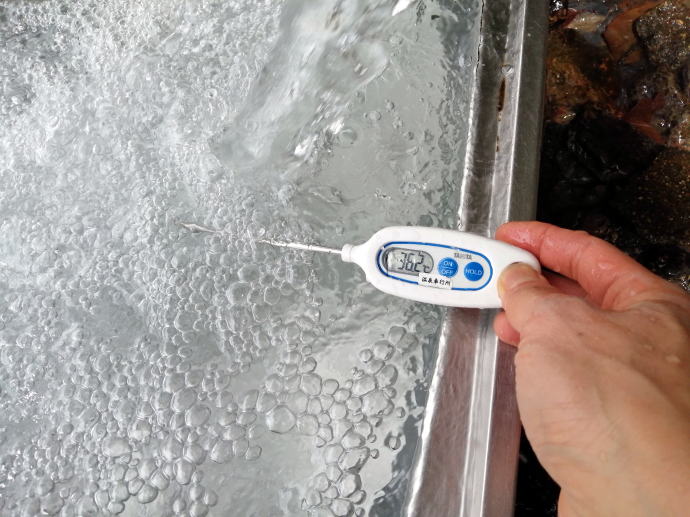 岩鼻温泉　ステンレス流し台の湯【温泉奉行所】