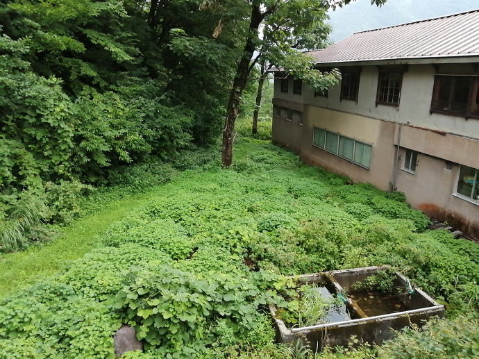 岩間温泉　山崎旅館【温泉奉行所】