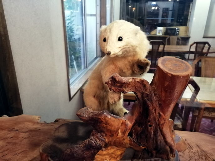 ����ʉ���@�z�e���n�̊R�y�����s���z