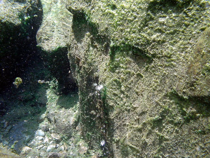 �o�_��������@�͌��̖쓒�y�����s���z