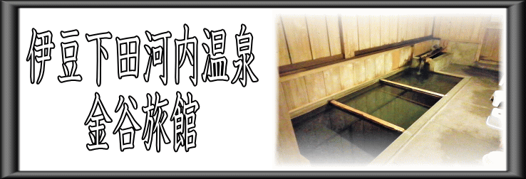 伊豆下田河内温泉　金谷旅館　千人風呂【温泉奉行所】