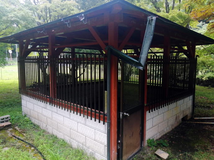 �U�V����@�͌��̖쓒�y�����s���z