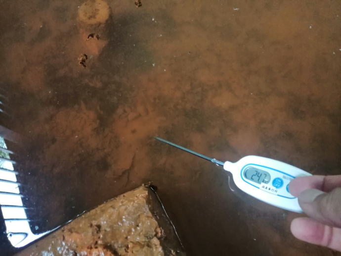 �U�V����@�͌��̖쓒�y�����s���z